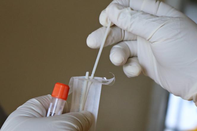 DARMOWE TESTY na koronawirusa w APTEKACH już od 27 stycznia! Wystarczy wypełnić formularz
