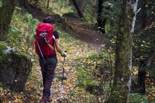 5 najlepszych tras trekkingowych w okolicach Warszawy – idealne miejsca na aktywny wypoczynek 