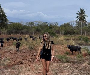 Królowa przetrwania