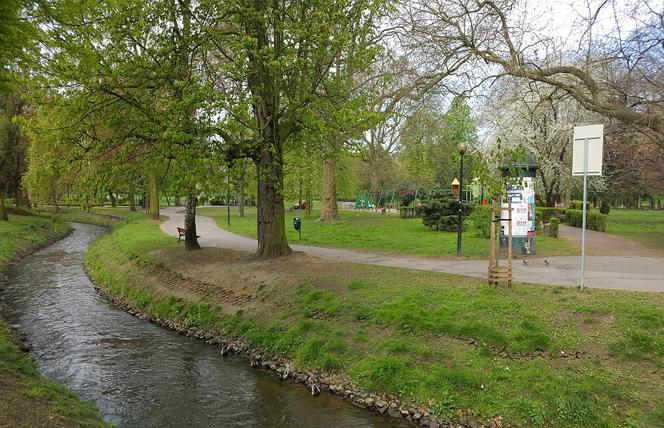 Gorzów park róż