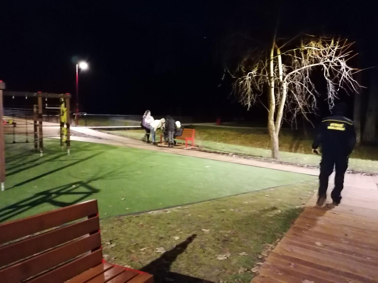 Dewastacja w Parku Dolinka. Są zatrzymani
