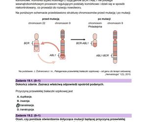 Matura 2024: biologia. Arkusze CKE i odpowiedzi. Poziom rozszerzony [Formuła 2023]