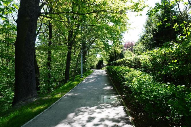 Tak wygląda park w dolinie Ślepiotki w Katowicach