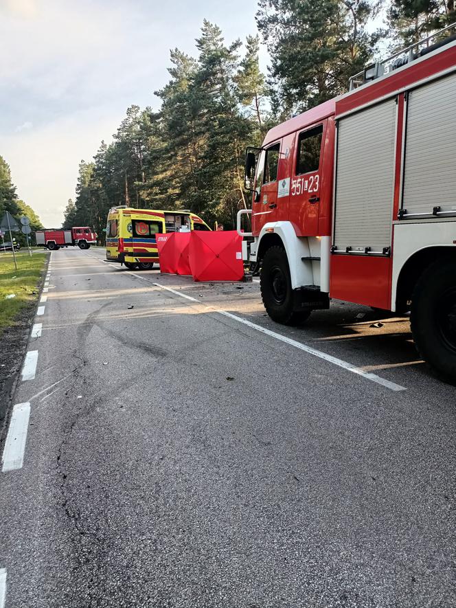 Koszmar pod Włodawą. Roztrzaskali się czołowo. Życie dwóch osób zgasło w jednej chwili