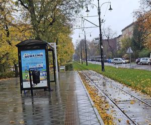 Czarna szyna to niepokojące zjawisko. Alarm dla mieszkańców Torunia