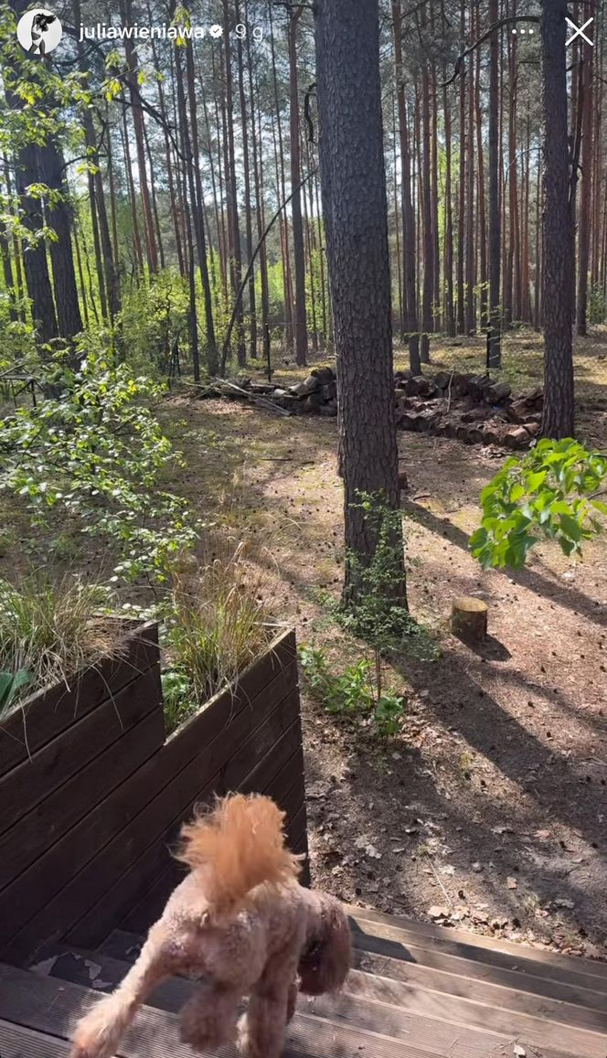 Julia Wieniawa zamieszkała w lesie