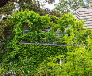 Willa Romualda Gutta na Kolonii Profesorskiej w Warszawie