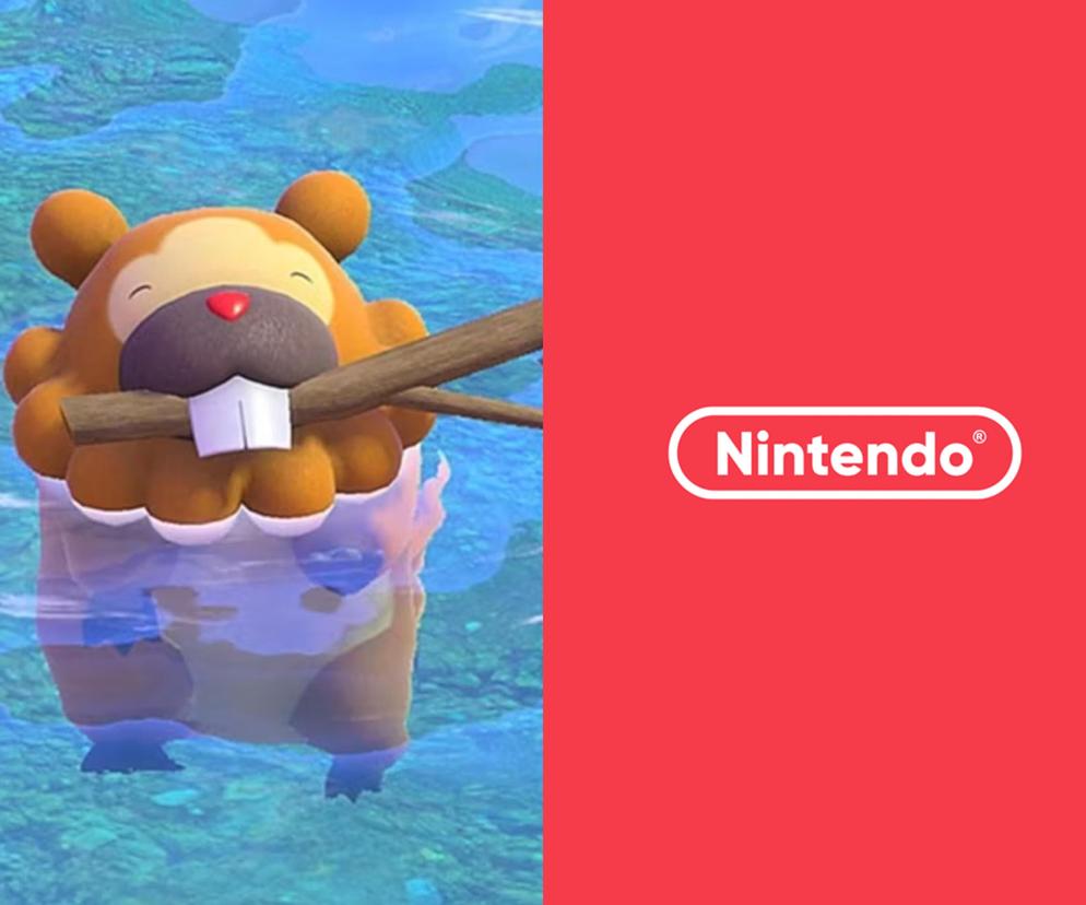 Nintendo / Pokemon