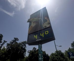 Fala upałów w Europie! Centra chłodzenia powstają w miastach