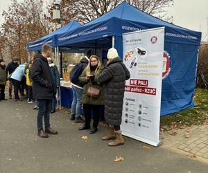 Wojewódzkie obchody Narodowego Święta Niepodległości w Poznaniu