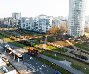 Park nad Południową Obwodnicą Warszawy