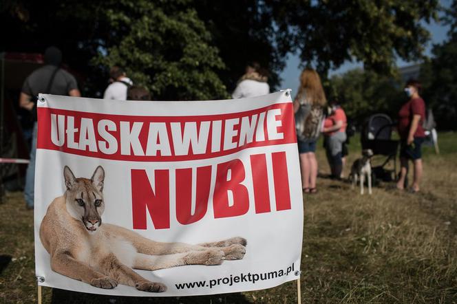 Puma Nubia – protest na Błoniach