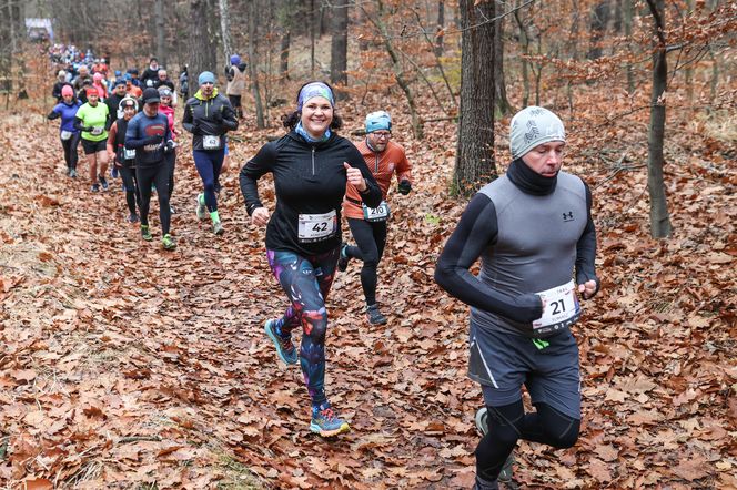 Katowicki City Trail jak zwykle ze znakomitymi biegaczami i biegaczkami. Zobacz zdjęcia ze sportowej imprezy