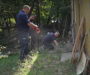 Zabytkowe płyty nagrobne w ogródku działkowym. Szczecińscy policjanci w akcji