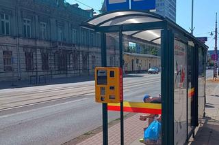 (0767) Piotrkowska – pl. Katedralny (Tymienieckiego)