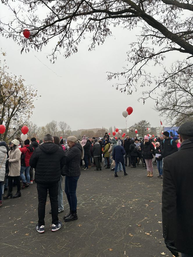 Wojewódzkie obchody Narodowego Święta Niepodległości w Poznaniu