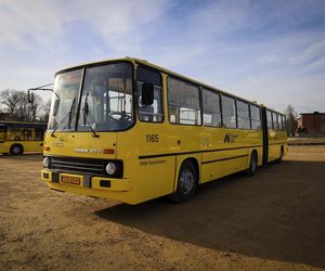 Ikarus wkrótce wyjedzie na śląskie drogi