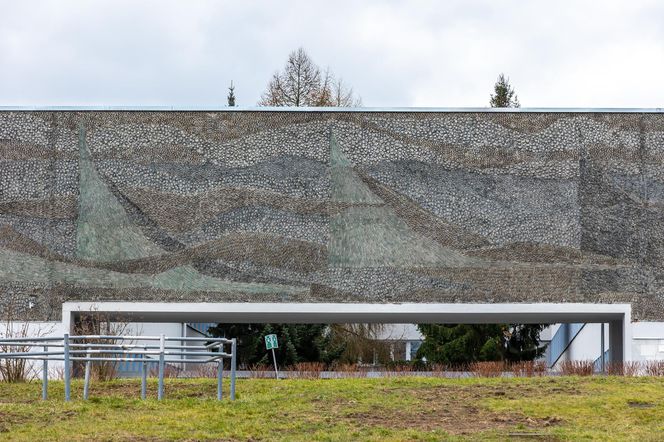 Instytut „Pomnik-Centrum Zdrowia Dziecka”