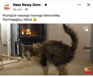 Skandal w Nasz Nowy Dom. Zrobili z CHOREGO kota maskotkę show