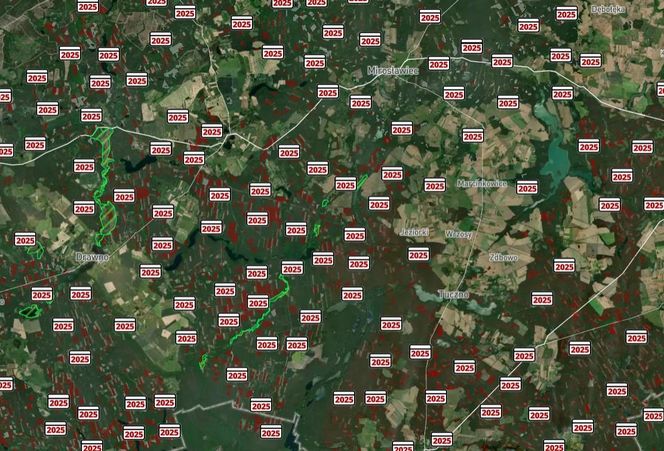 Mapa wycinki lasów 2025 - woj. zachodniopomorskie