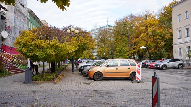 Kolorowe drzewa i klimatyczne kamienice. Ta ulica w Olsztynie zachwyca jesienią [ZDJĘCIA]