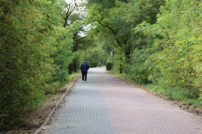 Jesienna odsłona terenów nad Bystrzycą w Lublinie. Tak się prezentuje w październiku