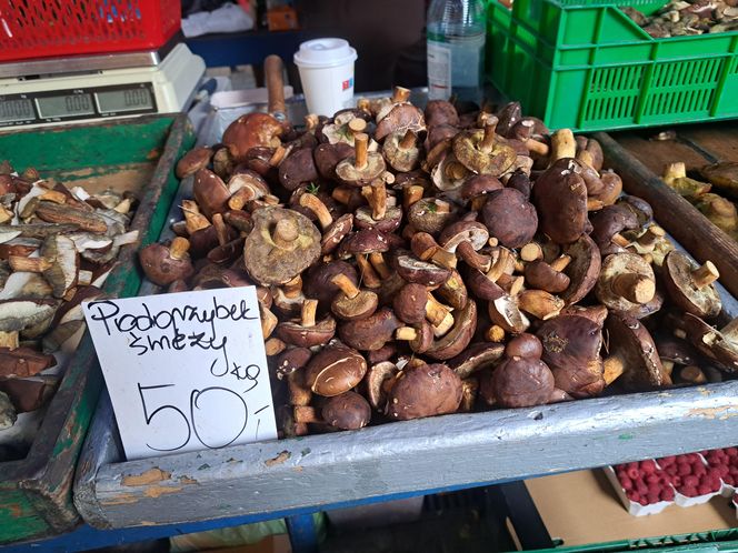 Ceny grzybów na Nowym i Starym Kleparzu w Krakowie