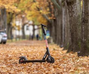 Hulajnogi elektryczne to coraz większy problem. Straż miejska podliczyła mandaty 