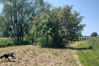 Policjanci wrócili nad brzeg rzeki. Wzruszające słowa siostry