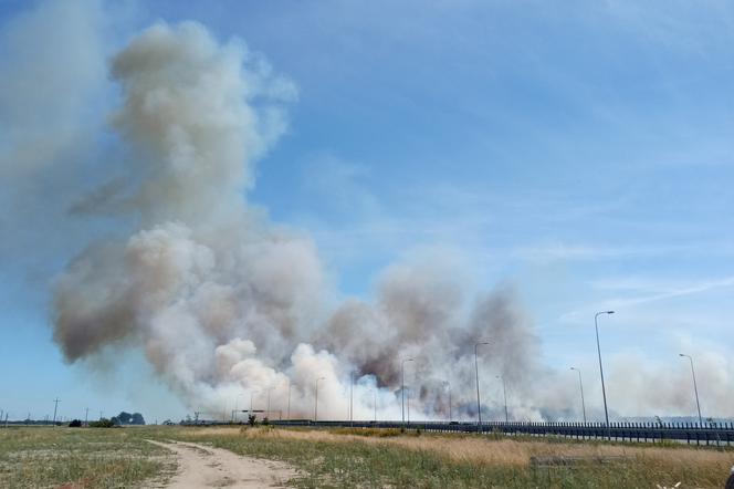 Pożar balotów w Kaczkowie. Ekspresowa piątka zasnuta dymem [ZDJĘCIA]