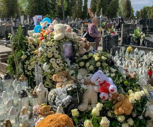Morze kwiatów na grobie Kamilka z Częstochowy. Znicze rozlały się na cały cmentarz