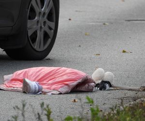 Dziewczynki potrącone na przejściu