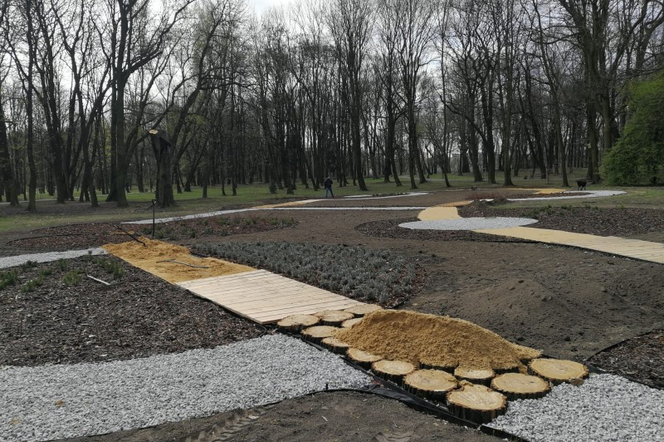 Siemianowice Śląskie: Park Górnik przeszedł prawdziwą metamorfozę! Zobaczcie