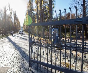 Opolscy kierowcy wciąż próbują wjeżdżać na największy cmentarz na Półwsi w Opolu