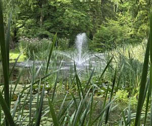 Letni spacer w zielonym sercu Bydgoszczy. Ogród Botaniczny UKW zaprasza!