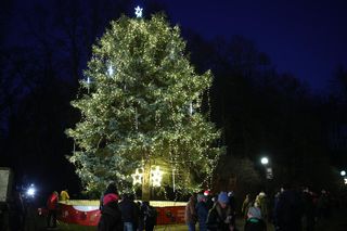 Rozświetlenie choinki w Parku Śląskim - ZDJĘCIA