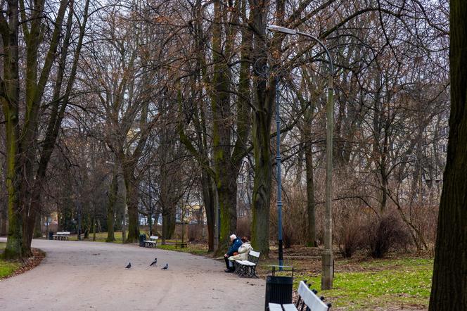Remont parku Skaryszewskiego w Warszawie na początku marca 2024 r.