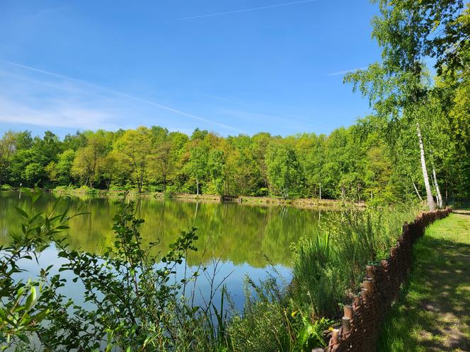 Kraków - Park Tetmajera