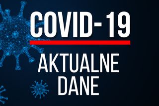 Koronawirus w Polsce: statystyki i mapa zakażeń