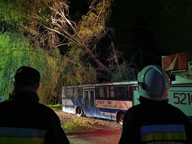 Wichura powaliła drzewo na autobus