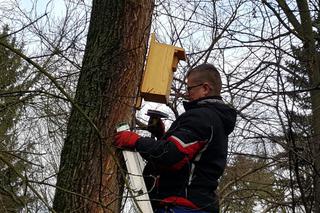  Budki lęgowe zawisły w bydgoskim Ogrodzie Botanicznym UKW w Bydgoszczy