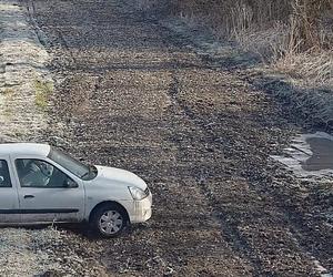 Ugrzązł z psem podczas nielegalnego przekkraczania granicy