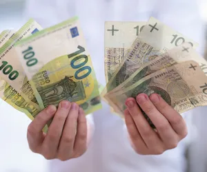 Kursy walut [20.03.2023]. Złoty stracił na wartości