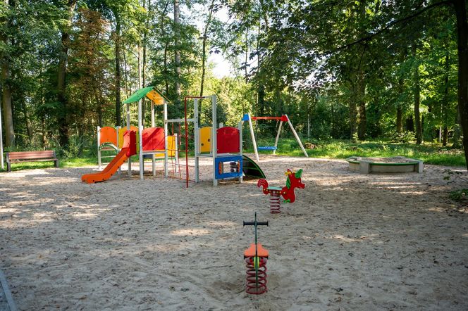 Zabytkowy park pod Lubawą zmienił się nie do poznania. Teraz wygląda jak z bajki