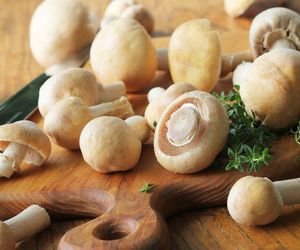 Sałatka z kołpaków - przepis na turki w pomidorach do słoików