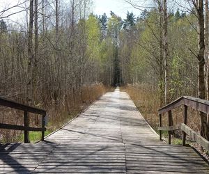 Biebrzański Park Narodowy