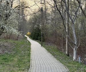 Wiosna w Lublinie rozkwitła kolorami! 