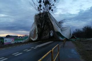 Wiatr zerwał halę sportową w Łajskach