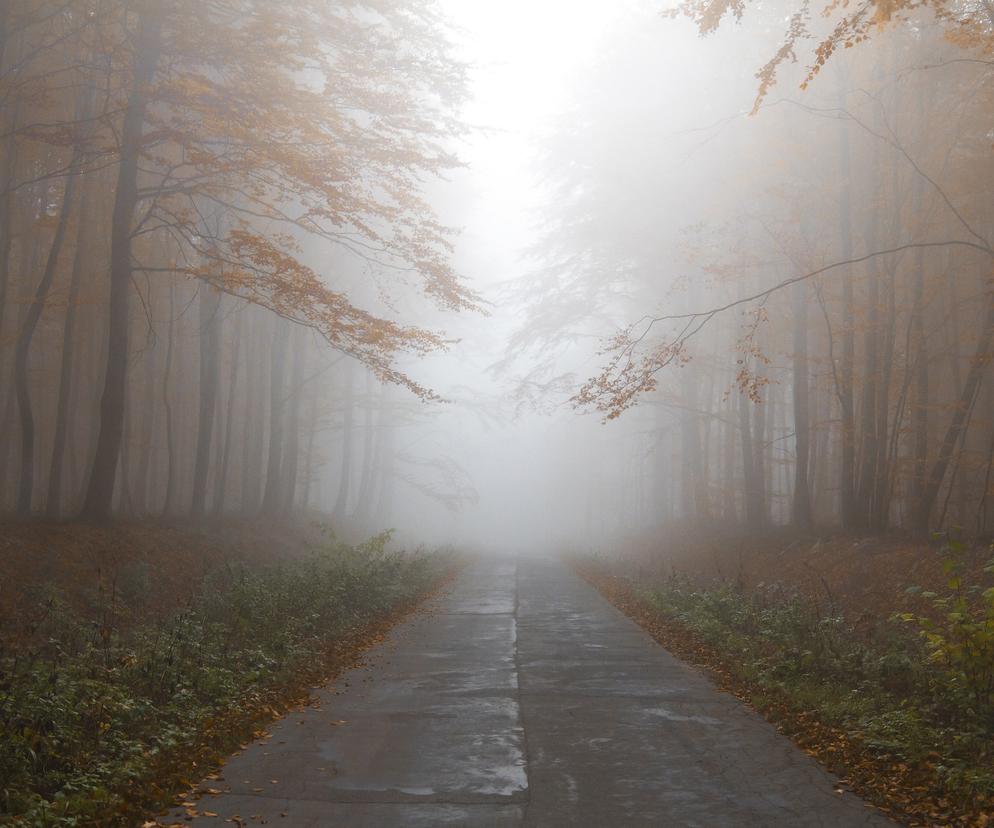 Uwaga na gęste mgły w Bydgoszczy! Widoczność ograniczona nawet do 200 m! IMGW ostrzega