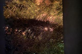 Podpalenie Niebuszewo 